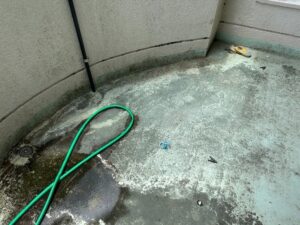 Before